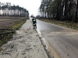 Powalone drzewo na drodze  (FOTO)