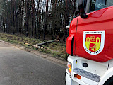 Powalone drzewo na drodze  (FOTO)