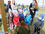 Wiosna powitana  (Foto | VIDEO)