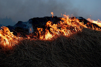 W Narwiańskim Parku Narodowym paliły się łąki i trzciny