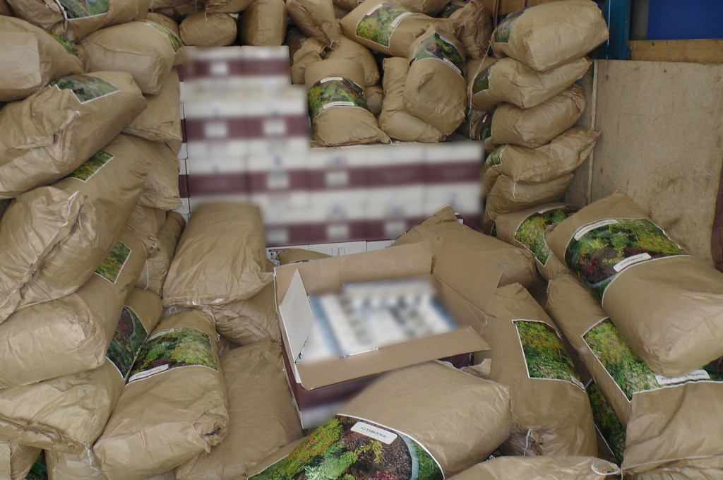 Nielegalne papierosy za ponad 5 mln zł zamiast kory ogrodowej  [VIDEO]