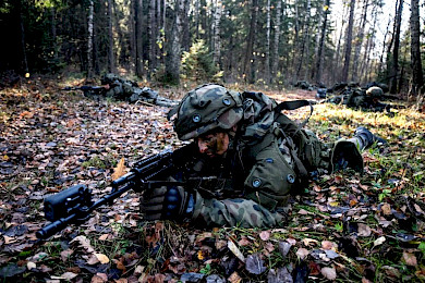 Terytorialsi wznawiają szkolenia