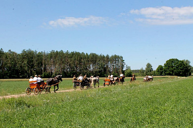 II Historyczny Rajd Pamięci – Czerwony Bór 2020