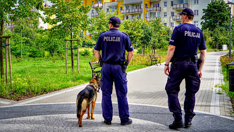 Psy służbowe w codziennej służbie