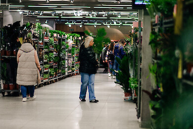 Wielki Festiwal Roślin w Piątnicy