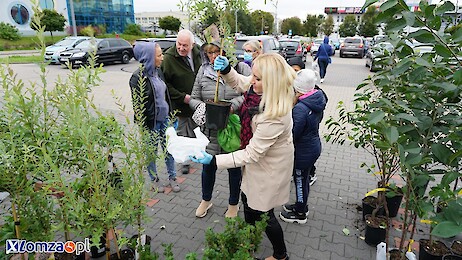 Ekologia za sadzonkę wiosna 2024