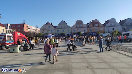 Sport, profilaktyka zdrowotna, integracja