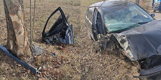 Region: Pijany kierowca uderzył w drzewo