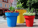 Ogromne kolorowe donice na Starym Rynku  (FOTO)