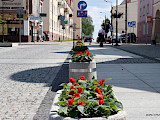 Ogromne kolorowe donice na Starym Rynku  (FOTO)